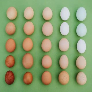 Иллюстрация 8