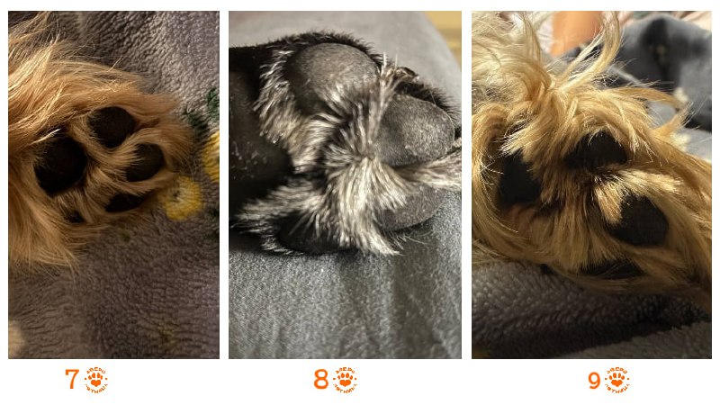 Иллюстрация 1