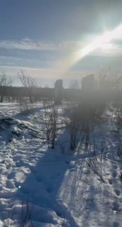 Крупная свинья обнаружена на Сумском направлении