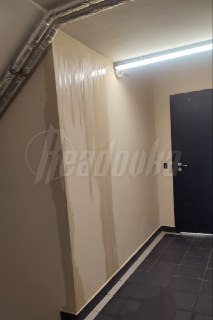 Иллюстрация 3