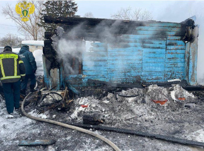 Семья погибла при пожаре в Рязанской области