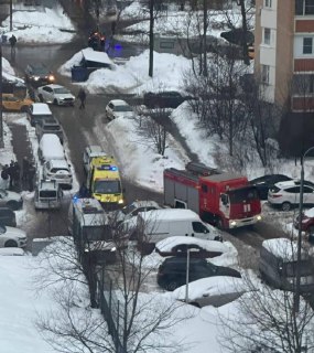 Иллюстрация 2