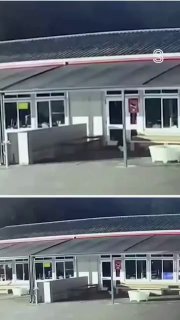 Кот-вор нижнего белья орудует в Новой Зеландии