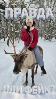 Эксперимент с ИИ показал, что отличить сгенерированные объекты от настоящих становится все сложнее.