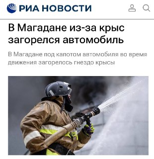 Крысы сожгли машину в Магадане