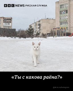 Иллюстрация 4