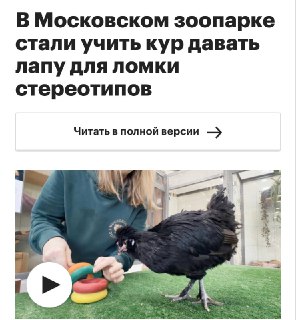 Куры в Московском зоопарке учатся выполнять команды