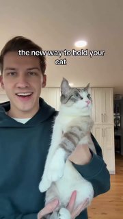 Лайфхак для котовладельцев