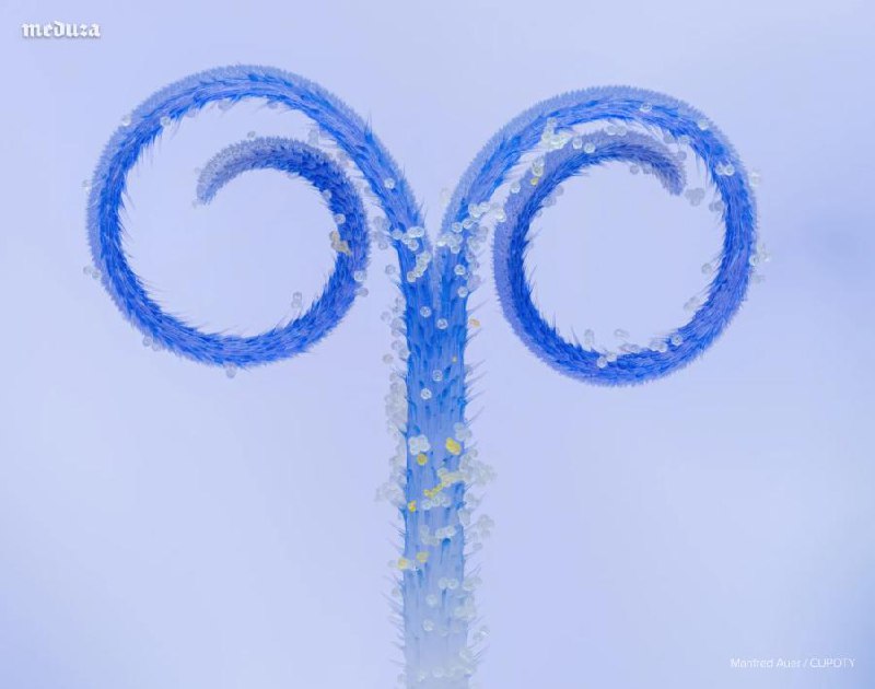 Иллюстрация 2