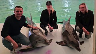 Дельфины помогают поднимать с колен жителей Запорожской области