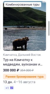 Тур на Камчатку с проживанием рядом с медведями