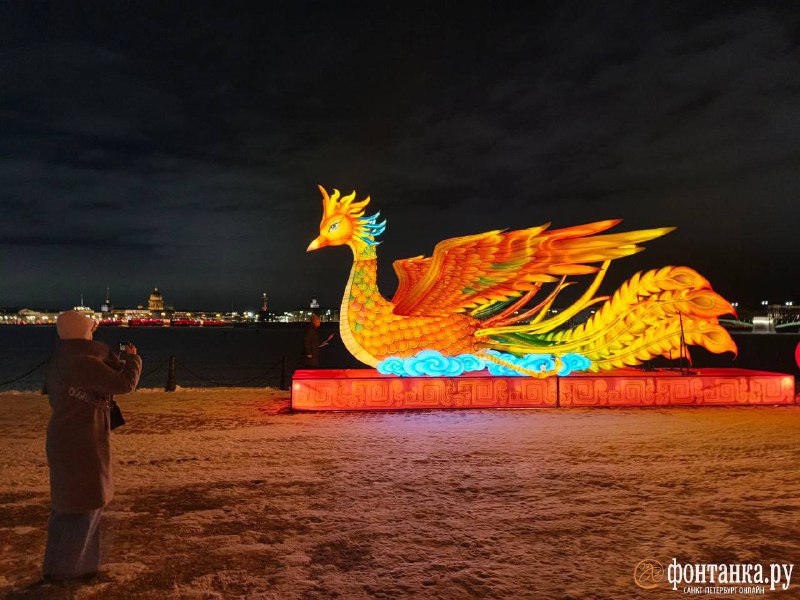 Иллюстрация 6