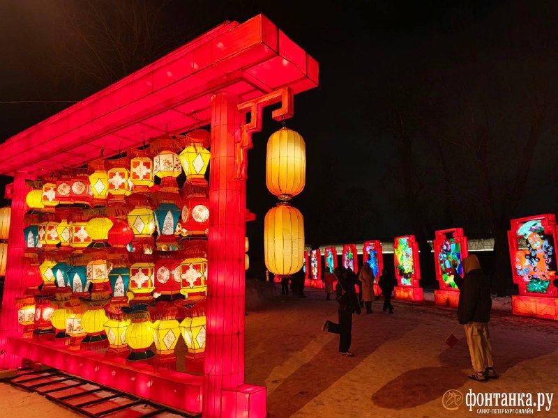 Иллюстрация 7