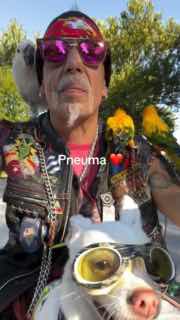 Байкер путешествует с собакой и попугаями