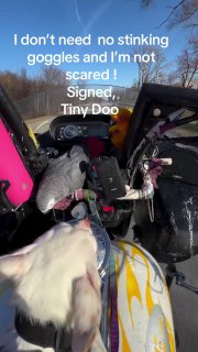 Иллюстрация 1