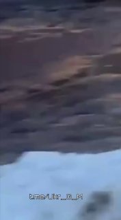 Иллюстрация 2