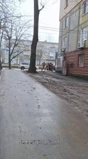 Иллюстрация 5