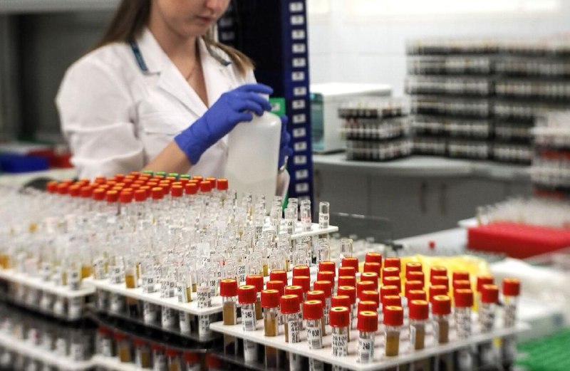 В России зафиксированы случаи оспы обезьян