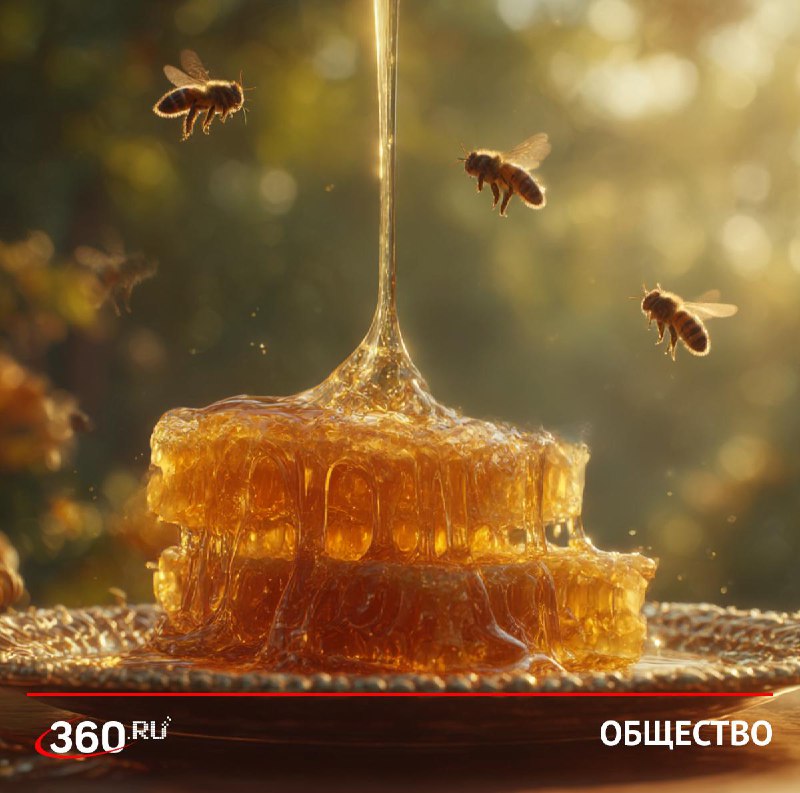 Возможный дефицит мёда в России