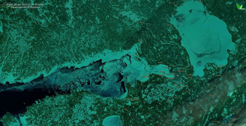 Финский залив скован льдом