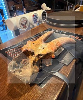 Иллюстрация 3