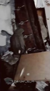 Иллюстрация 3