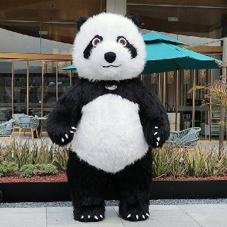 Бесплатный вход в Московский зоопарк для посетителей в костюмах панды