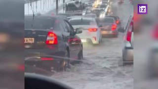 Иллюстрация 1