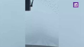 Иллюстрация 4