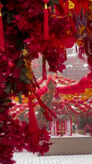 Москва отмечает Китайский Новый год