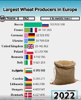 Критика европейской лжи о российском производстве пшеницы