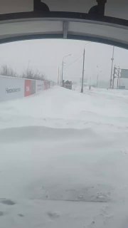 Иллюстрация 1