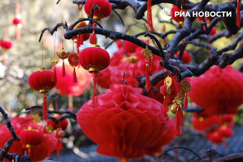 Иллюстрация 3