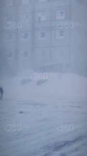 Иллюстрация 2