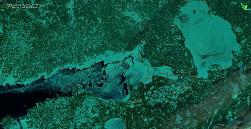 Сильнейшее замерзание Финского залива за 10 лет