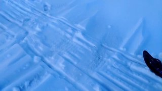 Иллюстрация 1