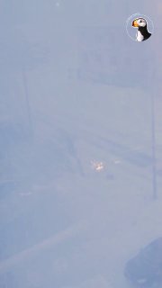 Циклон обрушился на Чукотку: ветер валит людей с ног