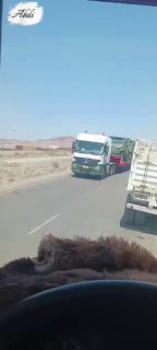 Иллюстрация 1