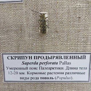 Иллюстрация 3