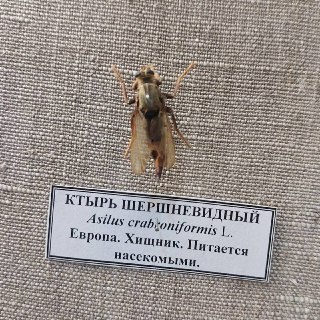 Иллюстрация 4