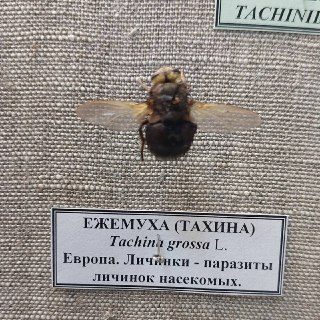 Иллюстрация 5