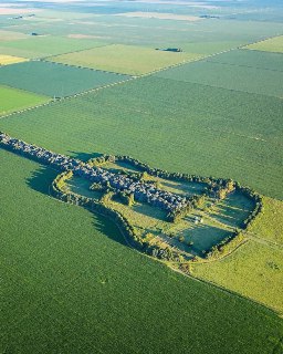 Иллюстрация 2