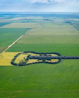 Иллюстрация 3