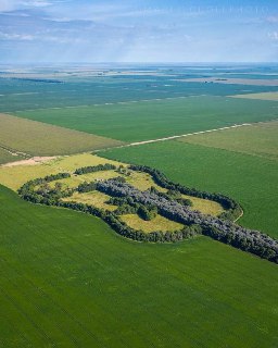 Иллюстрация 4