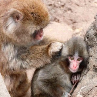 Иллюстрация 2