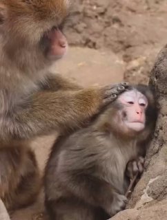 Иллюстрация 3