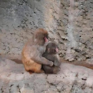 Иллюстрация 4