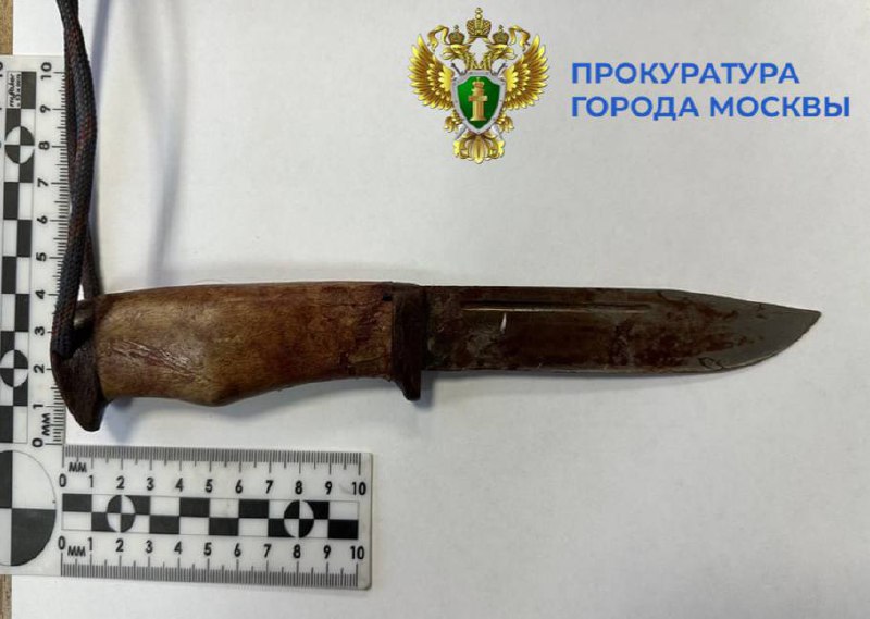 Иллюстрация 1