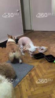 Иллюстрация 1