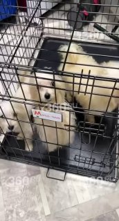 Иллюстрация 2